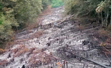 Sve veći broj požara- vatrogasci jedva stižu da ih gase
