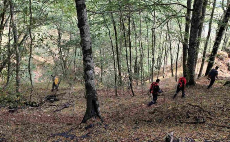 Mirnija situacija na požarištima u NP "Sutjeska"