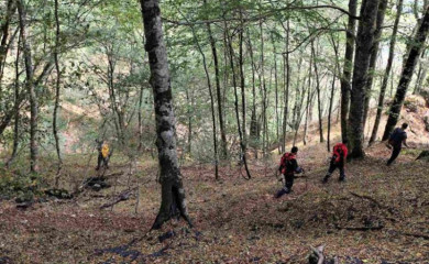 Mirnija situacija na požarištima u NP "Sutjeska"