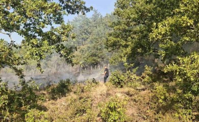 Požar u Gornjem Budnju stavljen pod kontrolu
